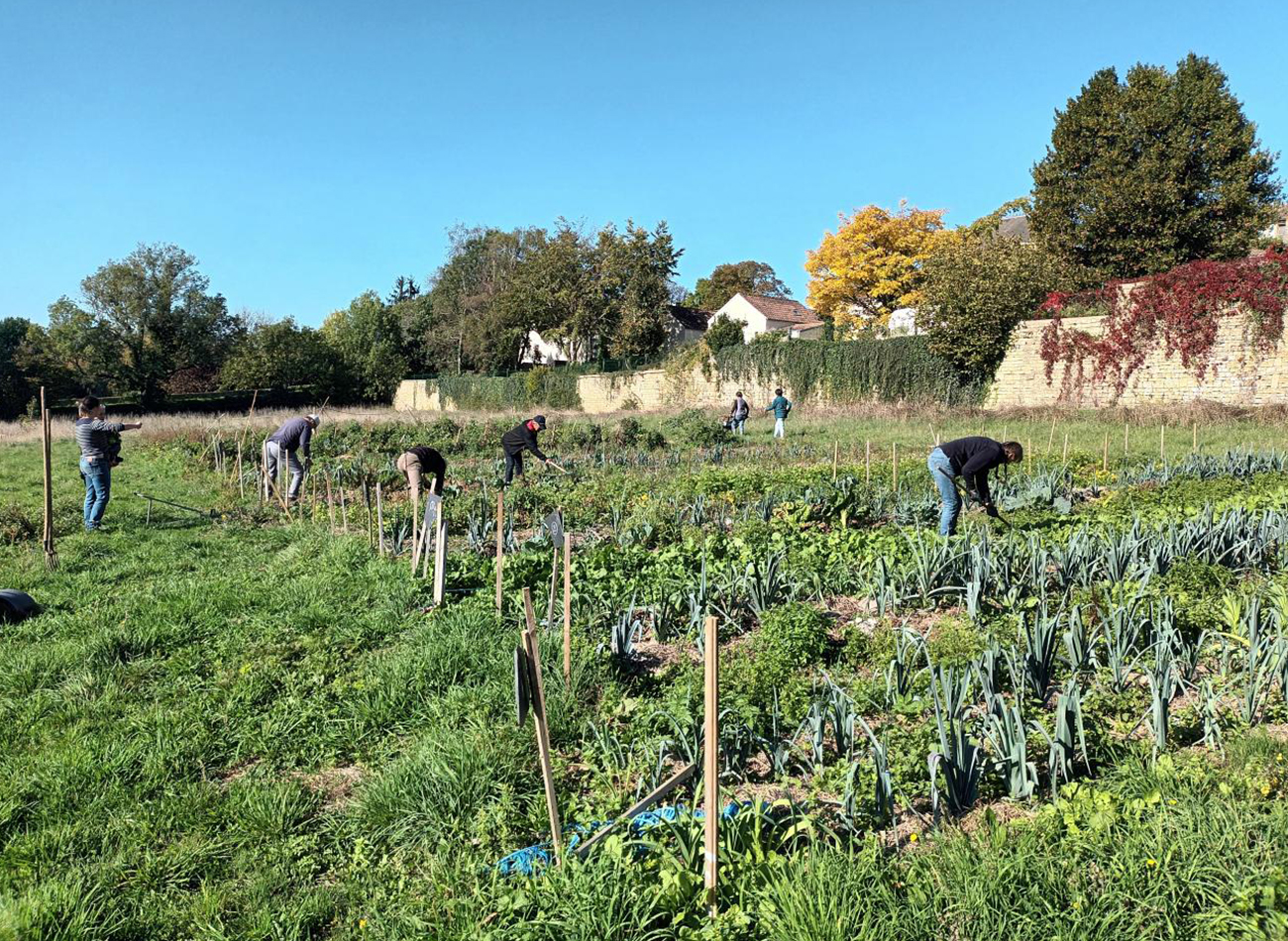 Atelier de la simplicité - jardin